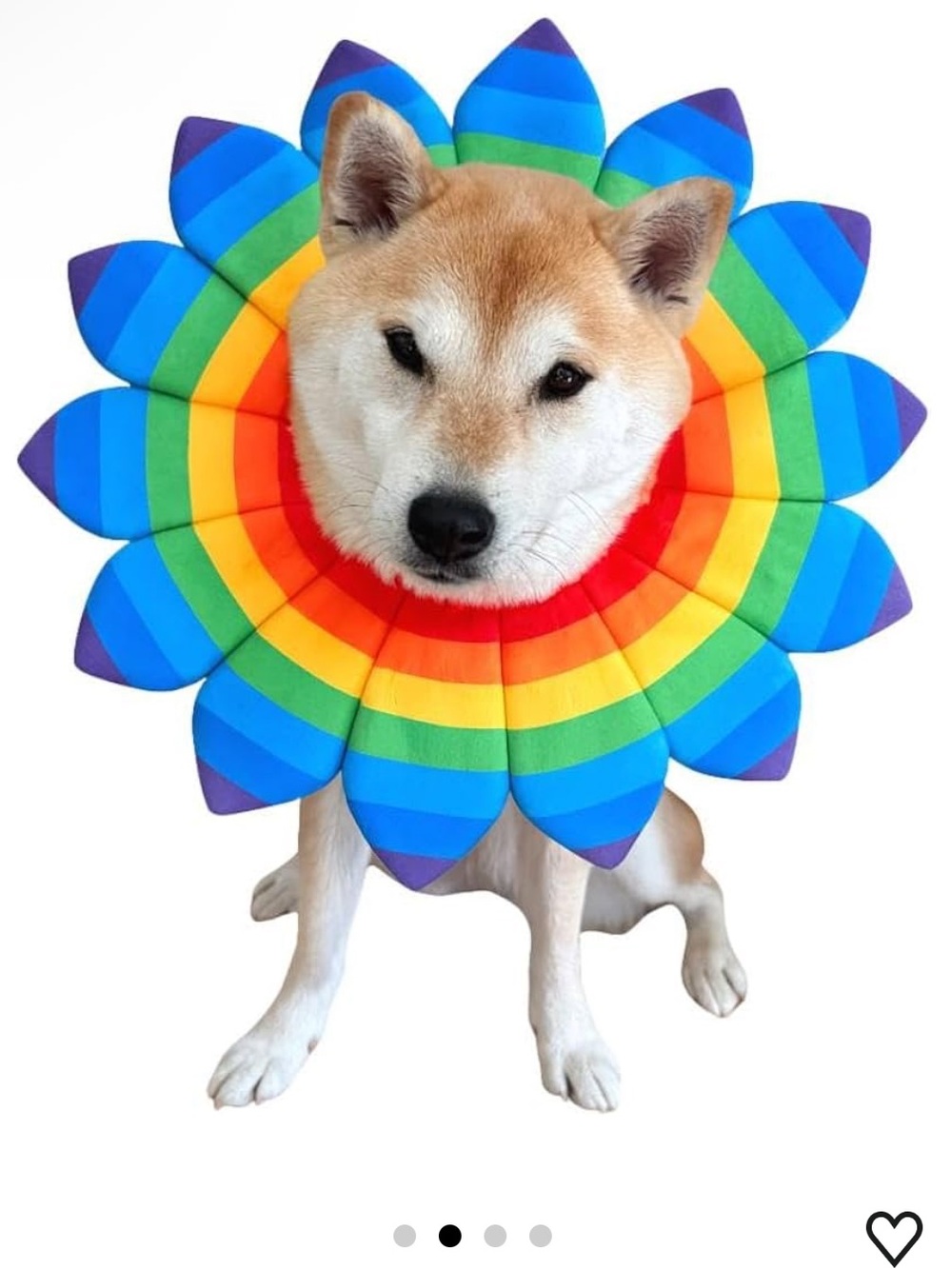 Rainbow Pet Flower Collar for Dogs - Colorful Comfort